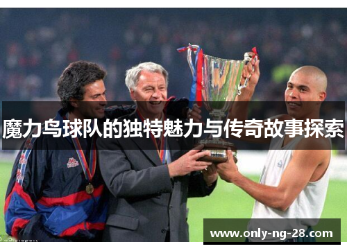 魔力鸟球队的独特魅力与传奇故事探索