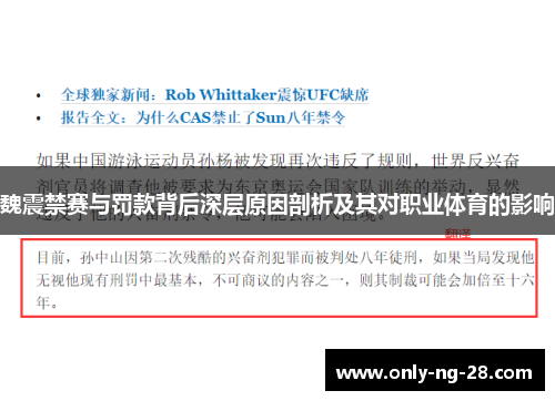 魏震禁赛与罚款背后深层原因剖析及其对职业体育的影响