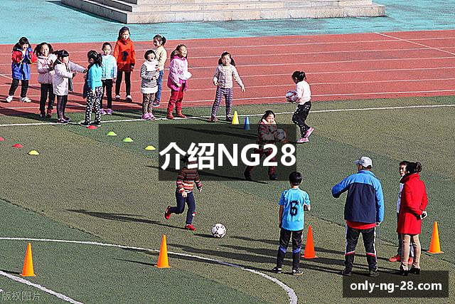 介绍NG28